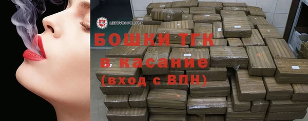 крисы Алексин