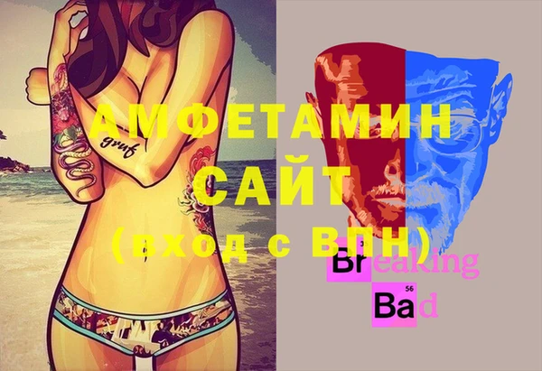 индика Снежинск