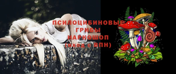 кокс Алзамай